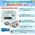 Бетар Счетчик газа Левый/правый, сгбм G1.6 с НГ (2025 г.)