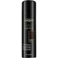 L'OREAL PROFESSIONNEL Тонирующий спрей для закрашивания прикорневой зоны волос Hair Touch Up (Brown)