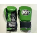 Боксерские перчатки Arcade, цвет зеленый/черный, 12 унций, на липучке