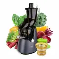 KUVINGS Медленная соковыжималка D9900 - Соковыжималка для фруктов и овощей холодного отжима Coldpress графит