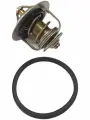 Термостат с прокладкой Isuzu Elf / Forward 4H, 6H 82,0
