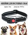 Товары для домашних животных Ошейник для собак, черный, светоотражающий 25мм (40-60см)