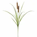Fiebiger Floristik 202597-908 Ветка декоративная Камыш, 80 см