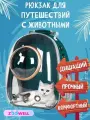 Рюкзак Zoowell Travel (Космонавт) для путешествий, с животными, зеленый ZWTravel1