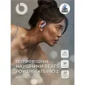 Беспроводные наушники Beats Powerbeats Pro 2, внутриканальные