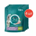 Сухой корм Purina ONE для кошек с чувствительным пищеварением 750г 4 шт