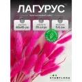 Сухоцвет Лагурус малиновый для декора, букет Зайцехвост 35 штук