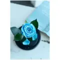 Живая Роза в колбе Therosedome Premium Mini 6 см стабилизированная, цветок в колбе, вечная роза, подарок, декор для интерьера, цвет: тиффани, голубая