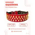Кожаный ошейник с расширением (обхват шеи 42 - 50 см, 2 слоя) для собак средних пород