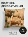 Подушка декоративная, 45x45см / Животные / лев / львица / лежать / объятия / забота / семья / сон / отдых