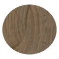 FarmaVita Life Color Plus Крем-краска для волос, 9.1 очень светлый пепельный блондин, 100 мл