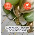 Воздушные шары с гелием под потолок Эвкалипт с белым и золотом 15 шт.