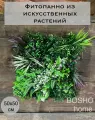 Фитостена из декоративных растений в размере 50х50 см из серии Premium Collection