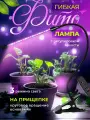 Фитолампа для растений полного спектра, 1 лампа, фитосветильник для рассады, лампа для растений на прищепке