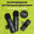 Микрофон беспроводной петличный накамерный WM-6 Type-C