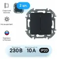 Механизм выключателя двухклавишный Legrand Inspiria антрацит (комплект из 2 шт.)