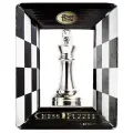 Hanayama Головоломка Король/ Cast Chess King -silver- 473686
