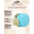 Пряжа Fibra Natura Cottonwood 41141 айсберг (50г/105м, упаковка 5 мотков)
