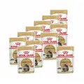 Royal Canin Maine Coon Adult влажный корм для взрослых кошек породы Мэйн Кун в соусе, в паучах - 85 г х 12 шт.