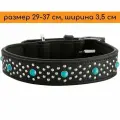 Hunter ошейник для собак Madona, натуральная кожа, цвет черный, фурнитура с имитацией бирюзы, 29-37 см, ширина 3,5 см