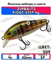 Zipbaits Воблер Zipbaits Rigge 43SP 509