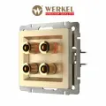 Акустическая розетка Werkel W1185011 шампань IP20