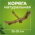 Натуральная коряга для террариума, декорация и украшение декор для рептилий, ящериц, длина 30-35 см, Универсальное украшение для террариумов экзотических животных.