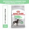 Сухой корм для собак крупных пород Royal Canin Maxi Digestive Care при чувствительном пищеварении, 12 кг