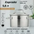 Кастрюля, кастрюля нержавеющая сталь, кастрюля 5,6 л, кастрюля c крышкой, Llamero Esprado, кастрюли, нержавеющая посуда, кастрюля для индукционных плит
