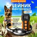Электроошейник для дрессировки собак