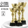 Кубок 134C, наградная фигура, золото, подставка пластик, 30 10 8,5 см.