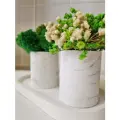 Гипсовые кашпо Грин с мхом и цветами от бренда Stabflora, 2 шт на подставке