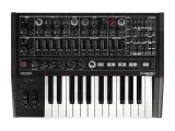 Arturia MiniBrute 2 Noir Лимитированная серия MiniBrute 2 в уникальном дизайне.