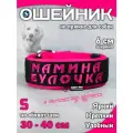 Ошейник для собак Buddy team на пряжке, с вышивкой мамина булочка, ширина 6 см, с мягким подкладом для средних и крупных пород, размер S