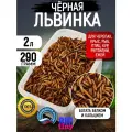 Сухой корм Big Tiny, для муравьев, ракообразных, рептилий, рыб, крыс, хомяков, птиц, черепах. Черная львинка, 290г