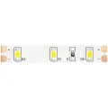 Светодиодная лента MAYTONI Led strip 10104, 5 м, 24 Вт, холодный белый, 6000 К