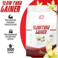 Гейнер для набора мышечной массы с медленными углеводами 2SN Slow Carb Gainer 3000г (Ваниль)