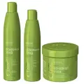 ESTEL Набор Curex Classic Основной уход: шампунь 300 мл + бальзам 250 мл + маска 500 мл