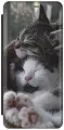Чехол-книжка на Apple iPhone 14 Plus / Эпл Айфон 14 Плюс с рисунком Отдыхающие котики черный