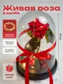 Роза в колбе живая, вечная, стабилизированная Mini 22см, подарок на 8 марта, на день рождения, на свадьбу, Малина