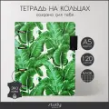 INFOLIO Тетрадь Palm, клетка, 120 л., 1 шт., зеленый/белый
