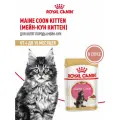 ROYAL CANIN MAINE COON KITTEN для котят мэйн кун в соусе пауч 85 гр 85 гр х 28 шт