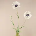 Искуcственный цветок Scabiosa - Perfecta White 65 см, EDG, 215771-83-2