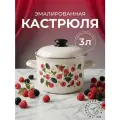 Кастрюля эмалированная Лысьвенские эмали Ежевика 3л с крышкой для всех видов плит белая
