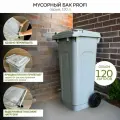 Бак для мусора 120л PROFI серый