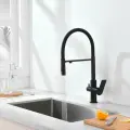 Смеситель для кухни под фильтр с гибким изливом из латуни Ganzer GZ07127-C черный