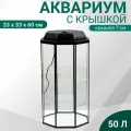 Аквариум Восьмигранный с крышкой, 50 литров, 33 х 33 х 60/67 см, чёрный