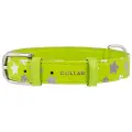 Ошейник WAUDOG Glamour с узором Звёздочка (ширина 35мм, длина 46-60см) зеленый (1 шт)