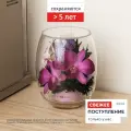 Композиция из живых цветов в герметичной вазе 13.8 см, сохраняется от 5 лет, серия Oriety 5311