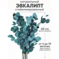 Эвкалипт стабилизированный декор сухоцвет